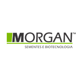 Logo Morgan